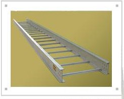 麻豆入口在线观看